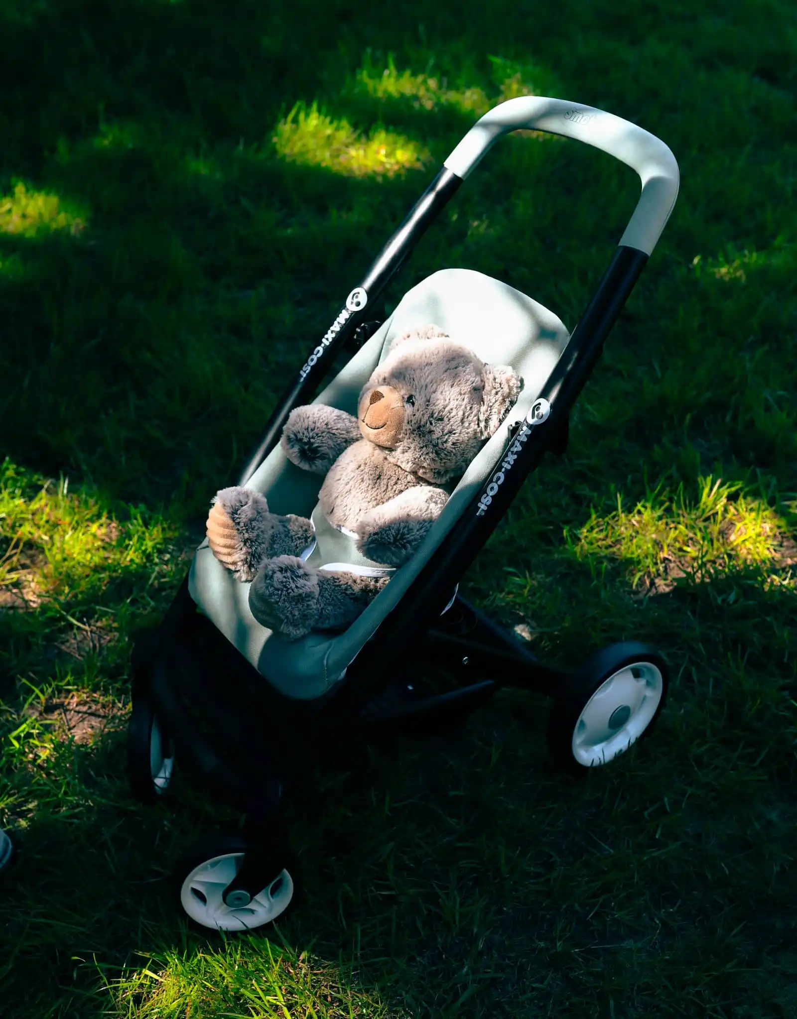 Zdjęcie portfolio - nr.8