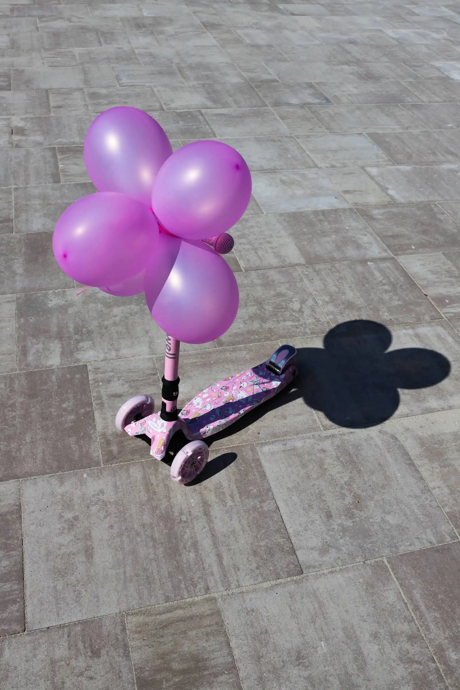 Zdjęcie portfolio - nr.11