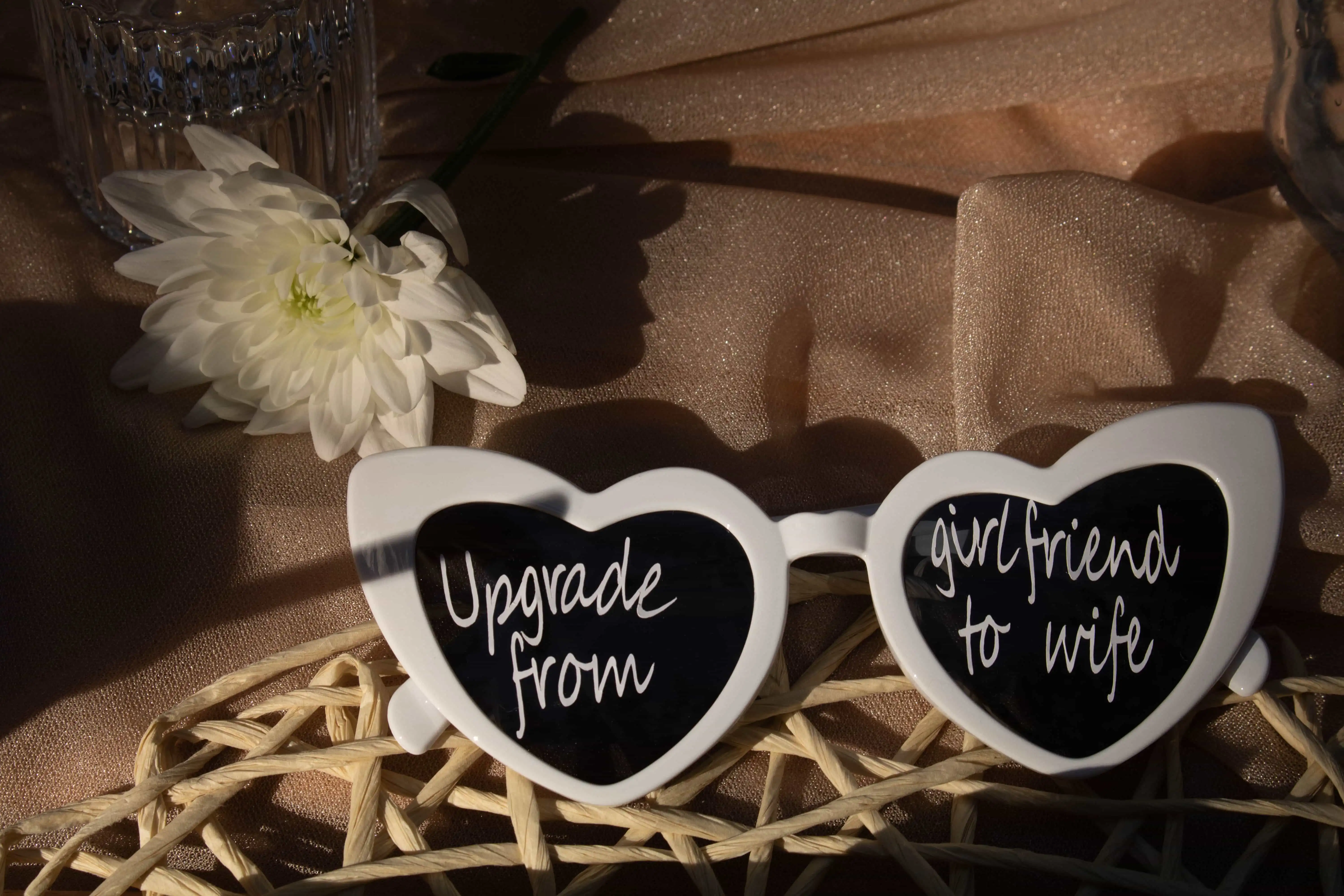 Zdjęcie portfolio - nr.43