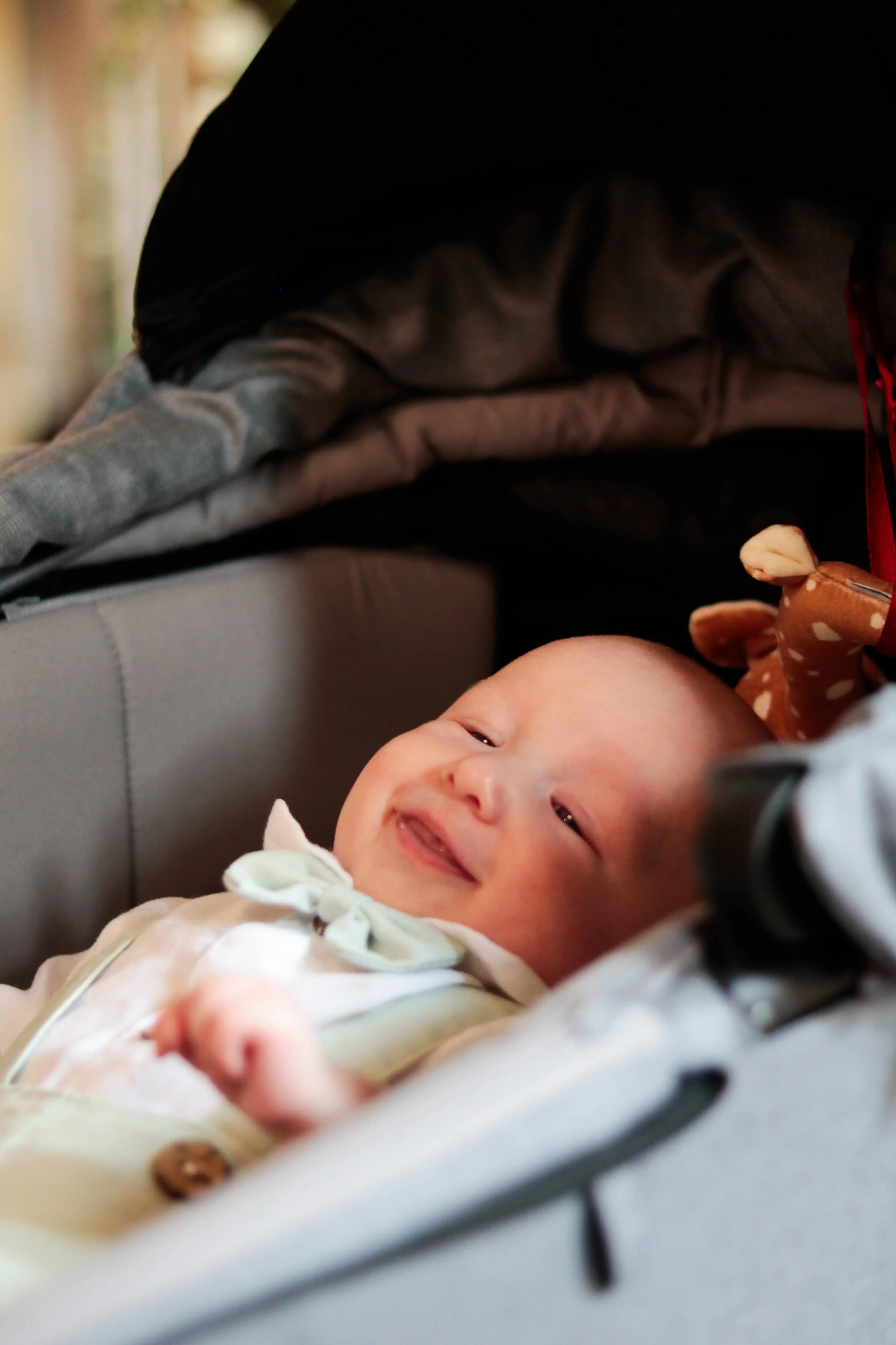 Zdjęcie portfolio - nr.59