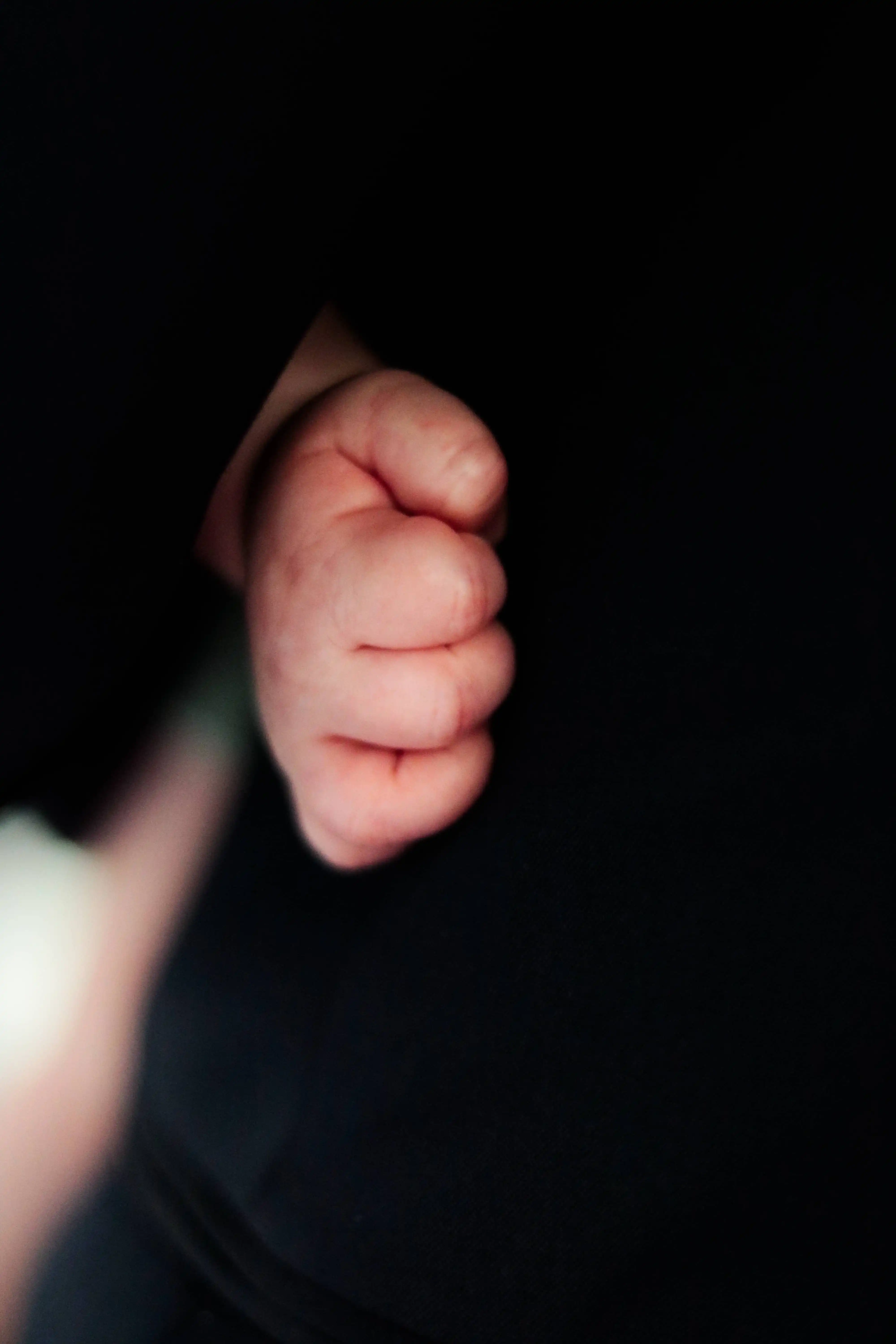 Zdjęcie portfolio - nr.60